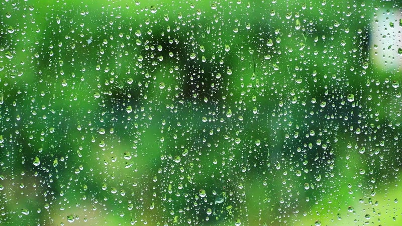Rainwater Harvesting