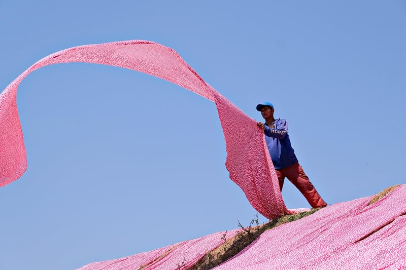 Zero-Waste Fashion Design